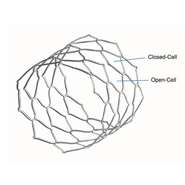 Aortic Bare Stent