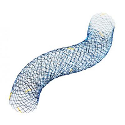 Pyloric - Duodenal Stent